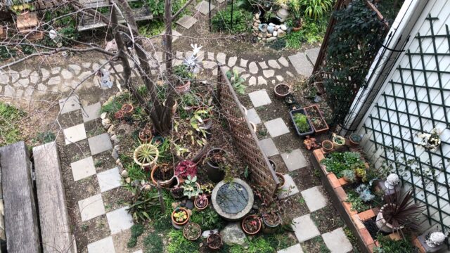 アイアンラウンドトレリス